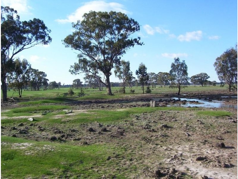 130 PLOZZA ROAD, Violet Town VIC 3669