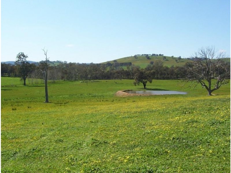 2440 Samaria Road, Benalla VIC 3672