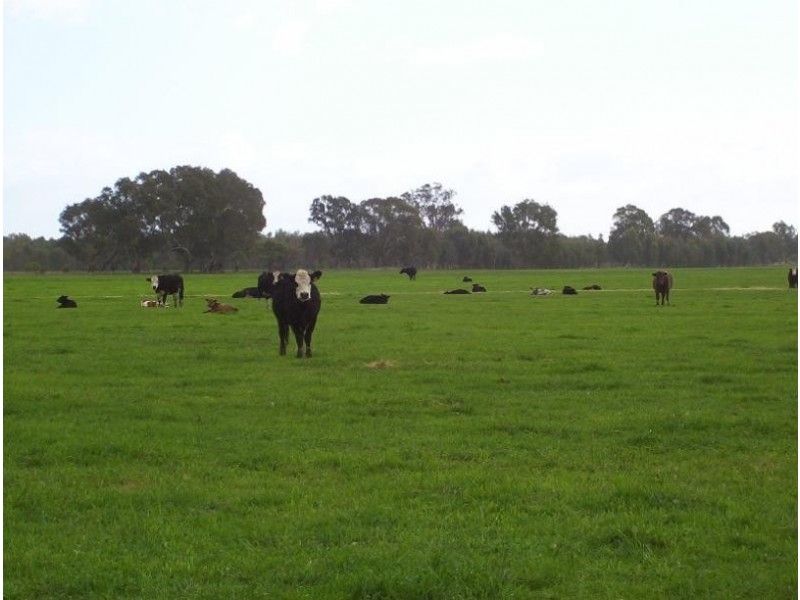 627 Kilferra Road, Benalla VIC 3672