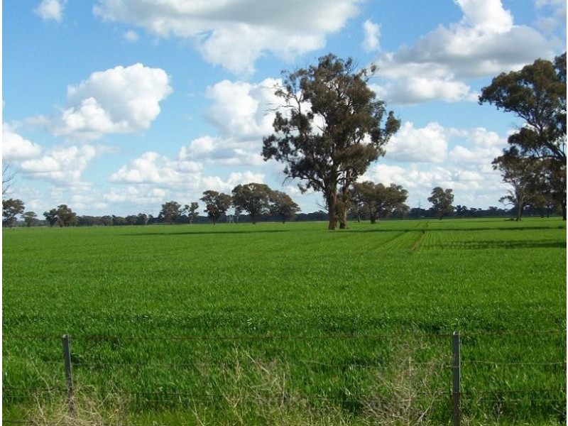 379 Goorambat- Chesney Road, Benalla VIC 3673