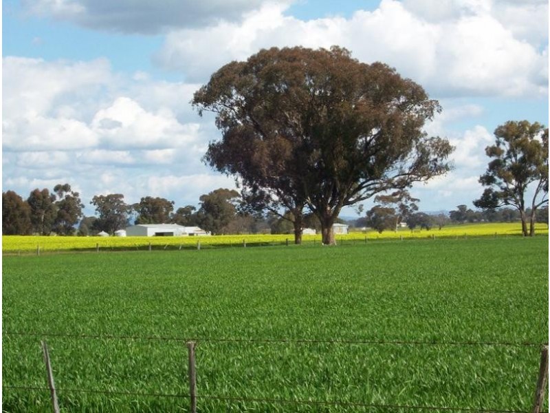 379 Goorambat- Chesney Road, Benalla VIC 3673