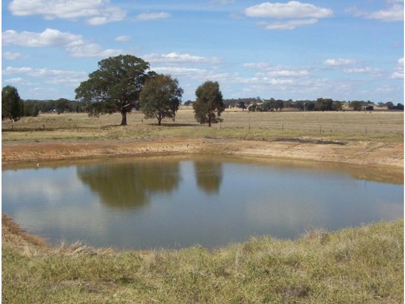 379 Goorambat- Chesney Road, Benalla VIC 3673