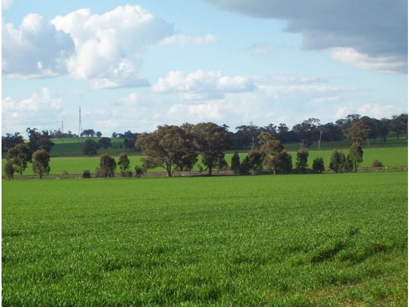 379 Goorambat- Chesney Road, Benalla VIC 3673