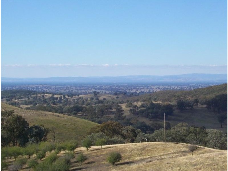 446 EMBLING ROAD, Lurg VIC 3673