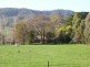 3179 Midland Highway, Lima South VIC 3673