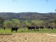 3179 Midland Highway, Lima South VIC 3673