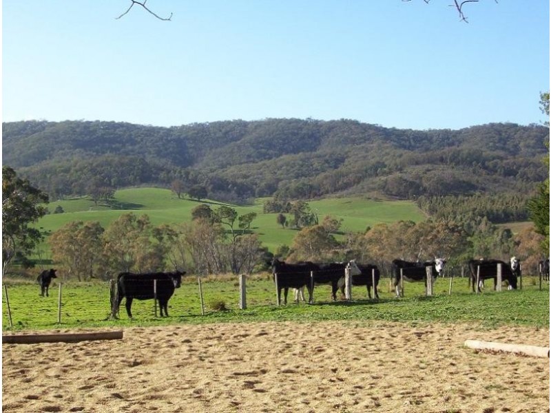3179 Midland Highway, Lima South VIC 3673