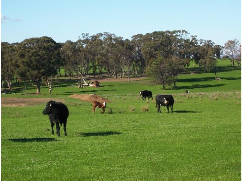 423 Lake Mokoan road, Benalla VIC 3672