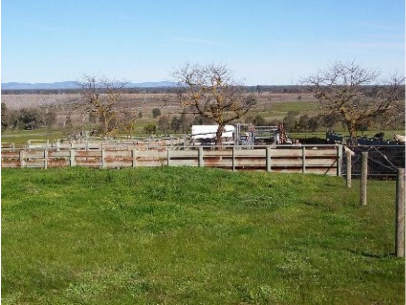 423 Lake Mokoan road, Benalla VIC 3672