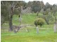 1310 Midland Hwy, Lima South VIC 3673