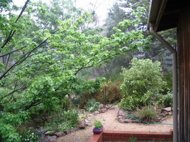 212 Mt Joy Road, Tatong VIC 3673