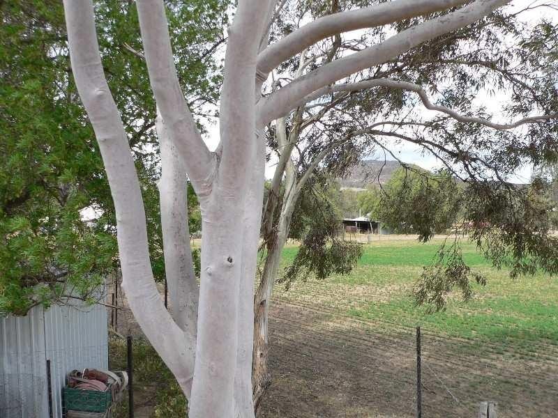 37 Kirby Street, Benalla VIC 3672