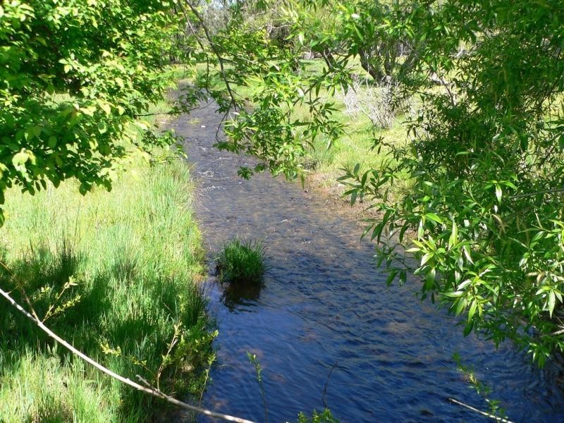 608 Upper Ryans Creek Rd, Molyullah VIC 3673