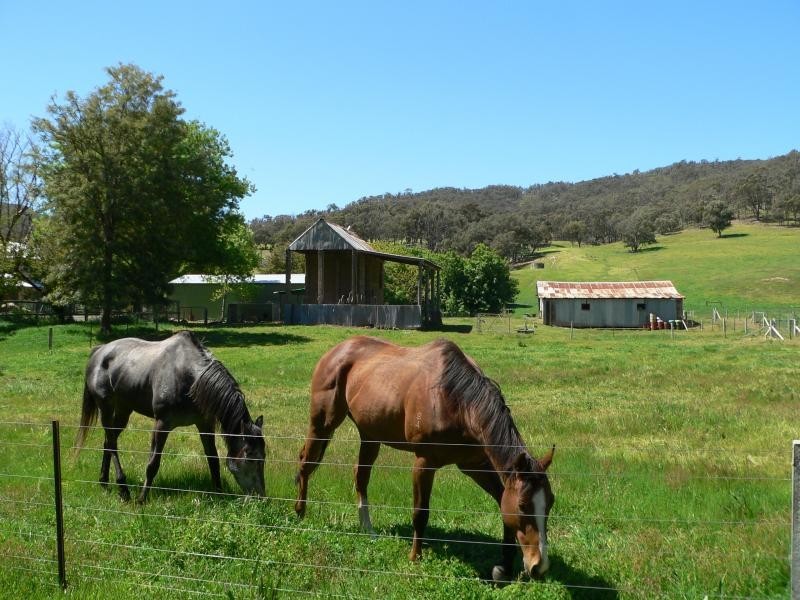 608 Upper Ryans Creek Rd, Molyullah VIC 3673