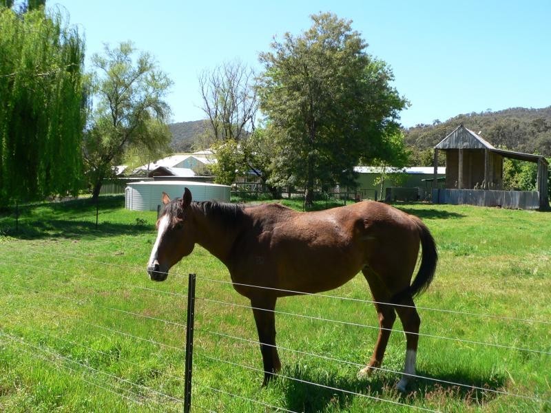 608 Upper Ryans Creek Rd, Molyullah VIC 3673