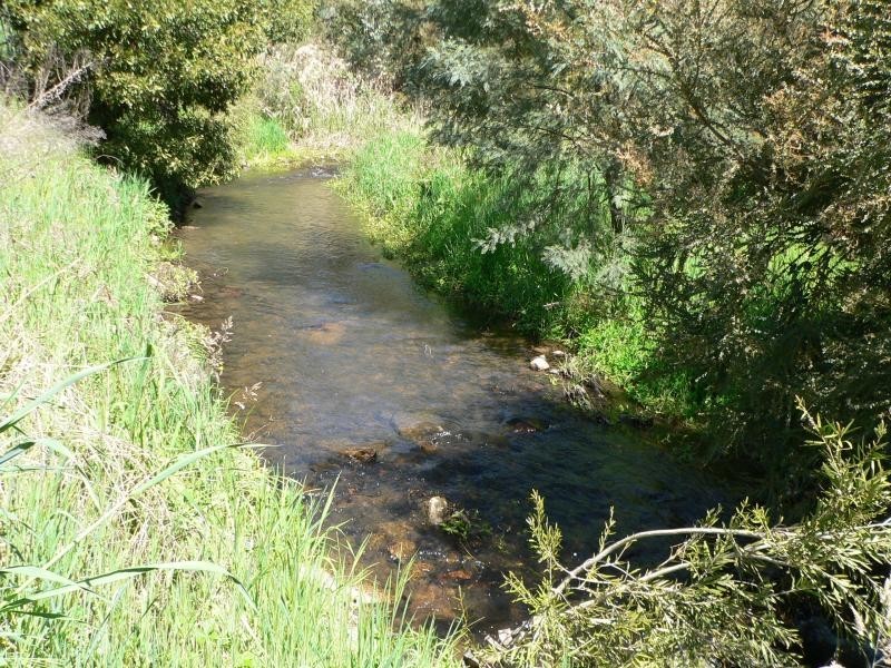 608 Upper Ryans Creek Rd, Molyullah VIC 3673