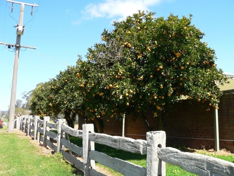 608 Upper Ryans Creek Rd, Molyullah VIC 3673