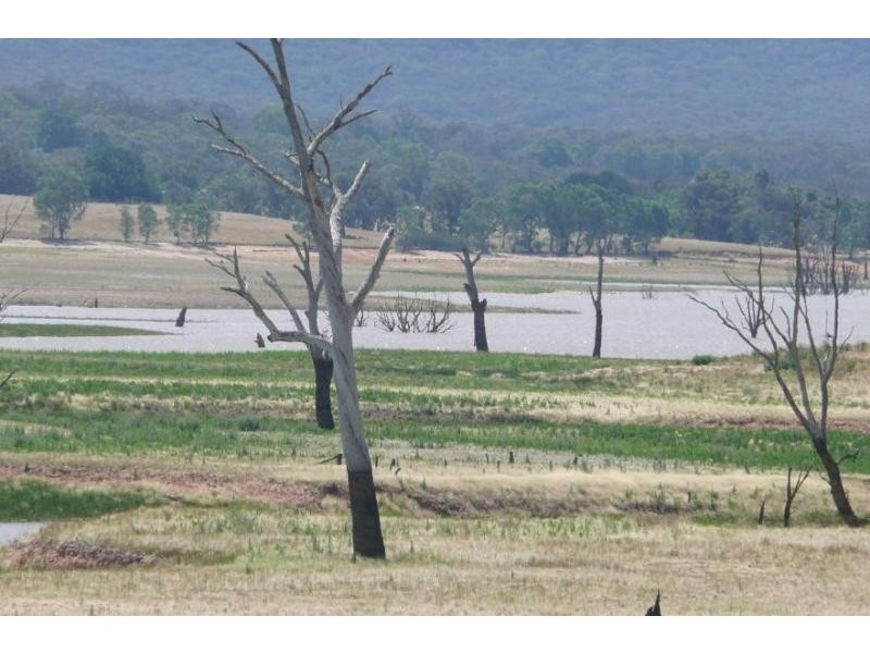 281 Lake Nillahcootie Road, Barjarg, Benalla VIC 3673