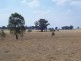 130 Plozza Road, Violet Town VIC 3669