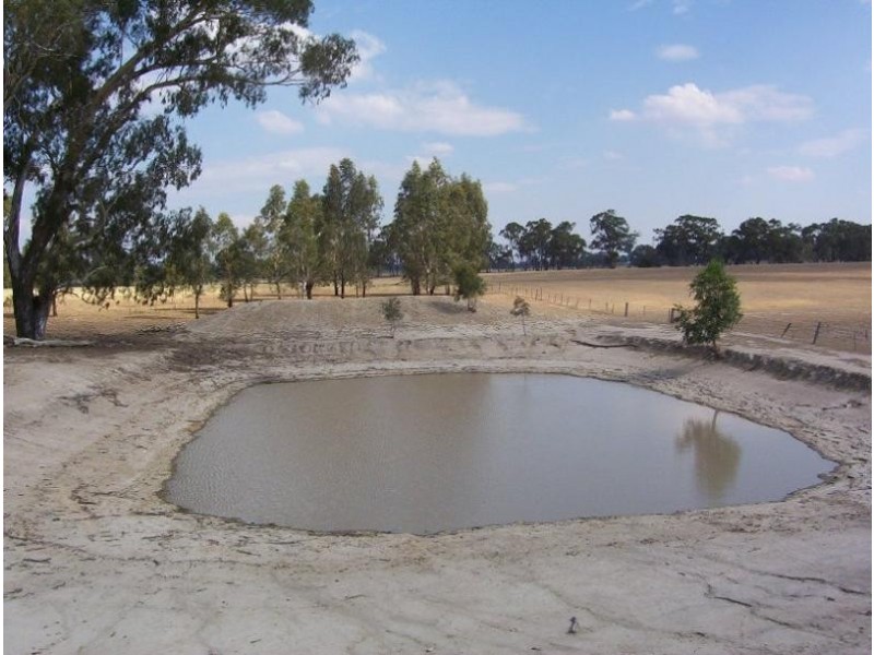 130 Plozza Road, Violet Town VIC 3669