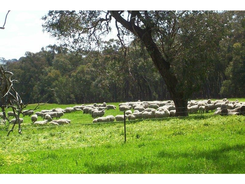 401 Upper Ryans Creek Road, Molyullah VIC 3673