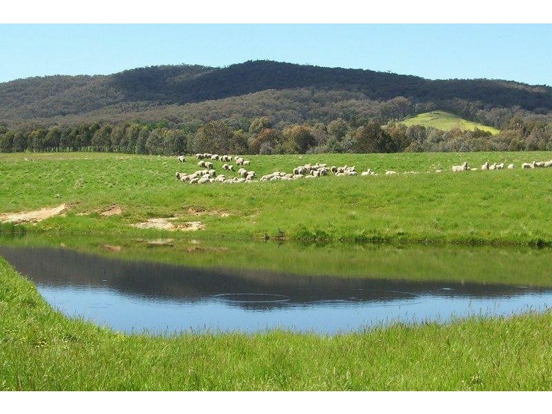 465 Upper Ryans Creek Road, Molyullah VIC 3673