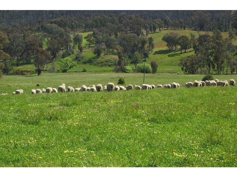 465 Upper Ryans Creek Road, Molyullah VIC 3673