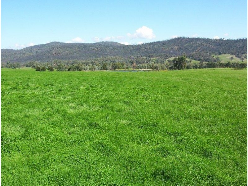 465 Upper Ryans Creek Road, Molyullah VIC 3673