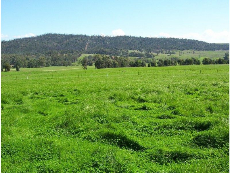 465 Upper Ryans Creek Road, Molyullah VIC 3673