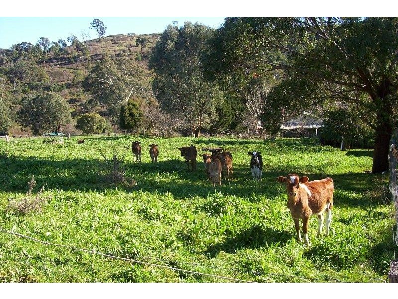 1414 Tatong Tolmie Road1414 Tatong Tolmie Road, Tatong VIC 3673