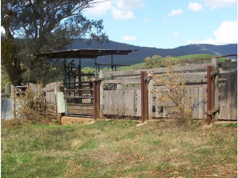 1414 Tatong Tolmie Road1414 Tatong Tolmie Road, Tatong VIC 3673