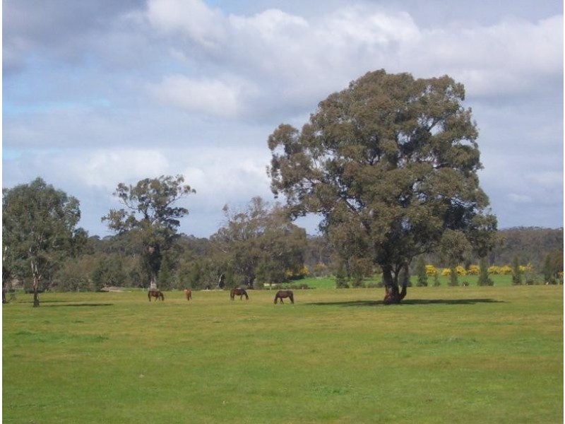251 Baddaginnie Road, Benalla VIC 3672