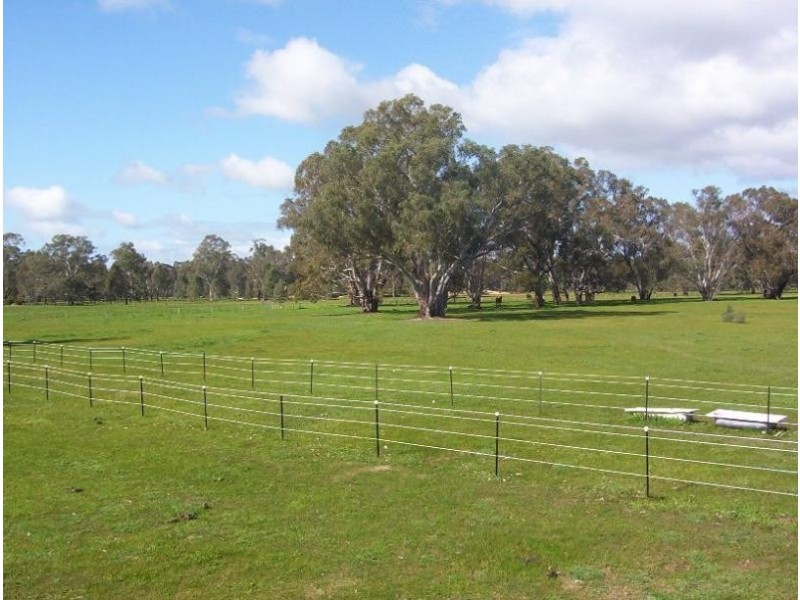 251 Baddaginnie Road, Benalla VIC 3672