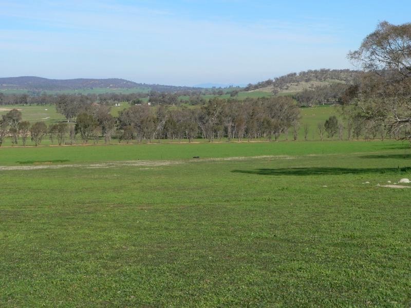 213 Alexander Road, Bungeet VIC 3726