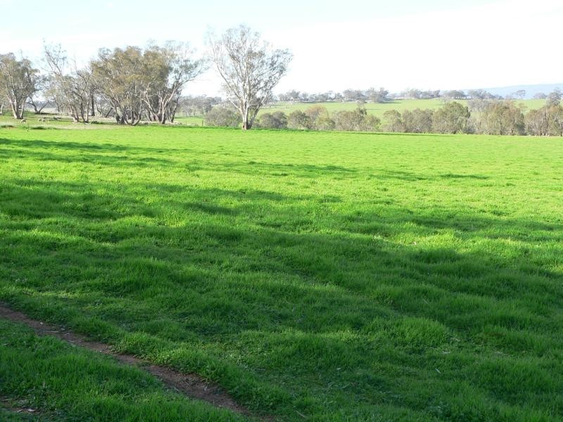 213 Alexander Road, Bungeet VIC 3726