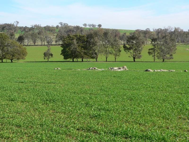 213 Alexander Road, Bungeet VIC 3726