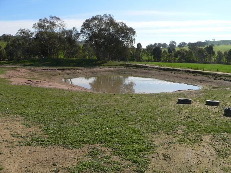 213 Alexander Road, Bungeet VIC 3726