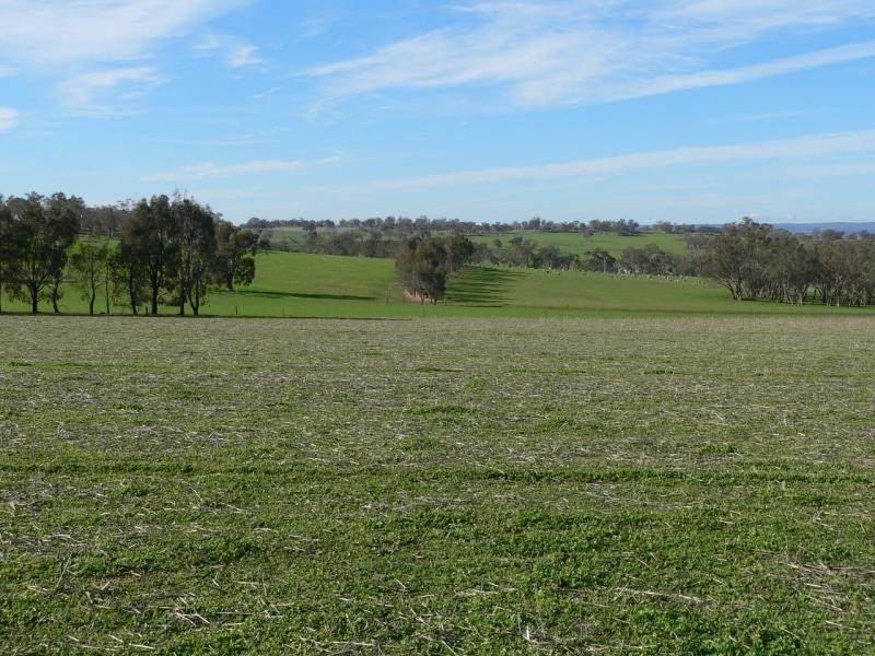 213 Alexander Road, Bungeet VIC 3726