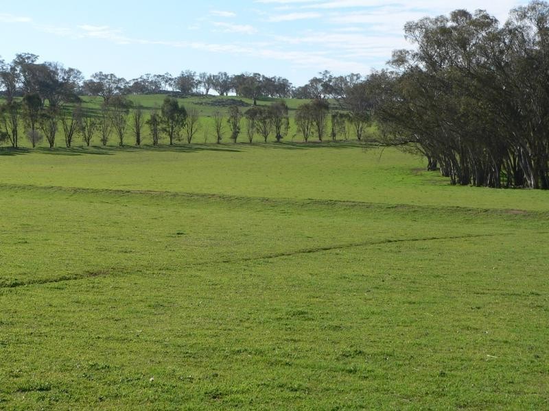 213 Alexander Road, Bungeet VIC 3726