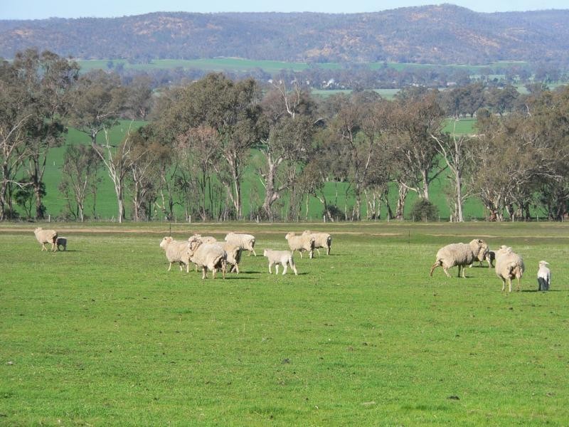 213 Alexander Road, Bungeet VIC 3726