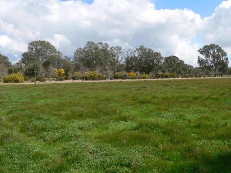 51 Coach Road, Winton VIC 3673