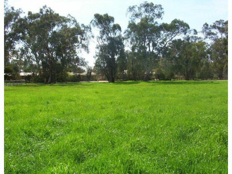 3 Cowan Street, Benalla VIC 3672