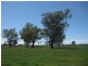288 Youngers Lane, Greta VIC 3675