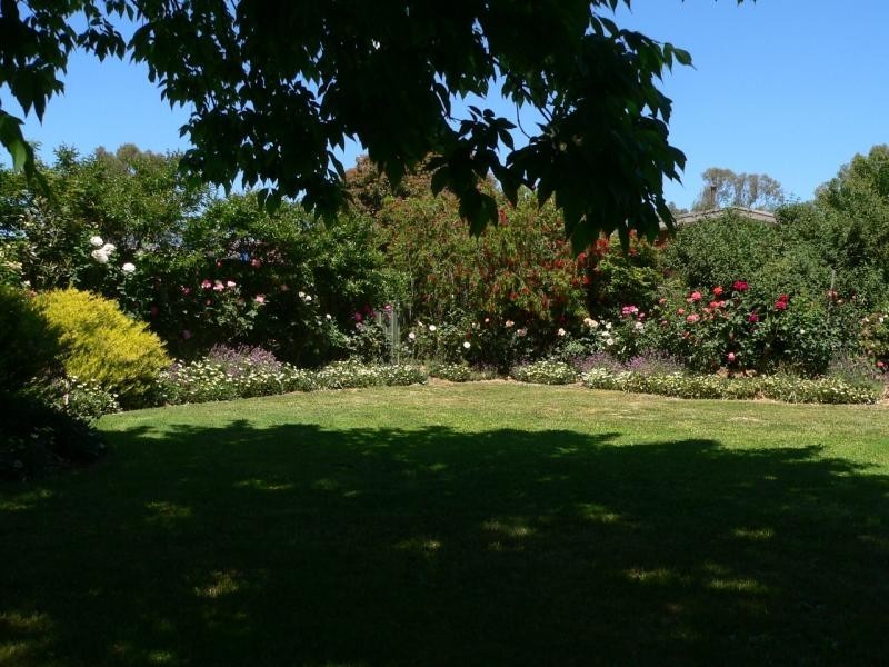 12 Coster Street, Benalla VIC 3672