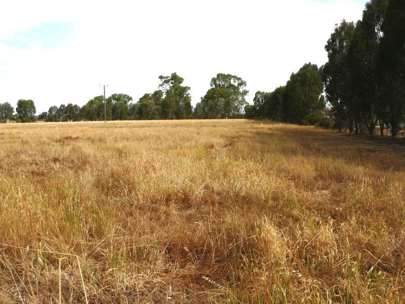 Lot 1/24 Inglis, Benalla VIC 3672