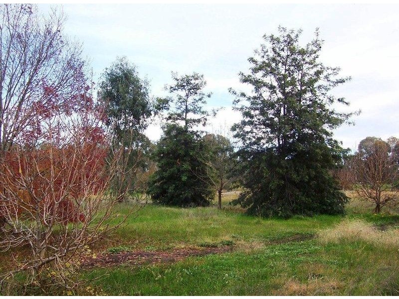 Lot 6/ Palmerston Street, Baddaginnie, Benalla VIC 3672