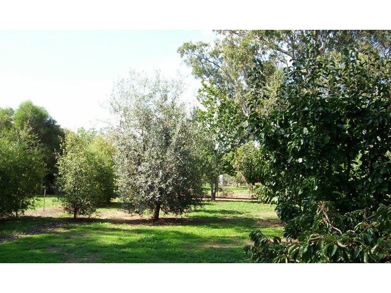 16 Glenfern Court, Benalla VIC 3672