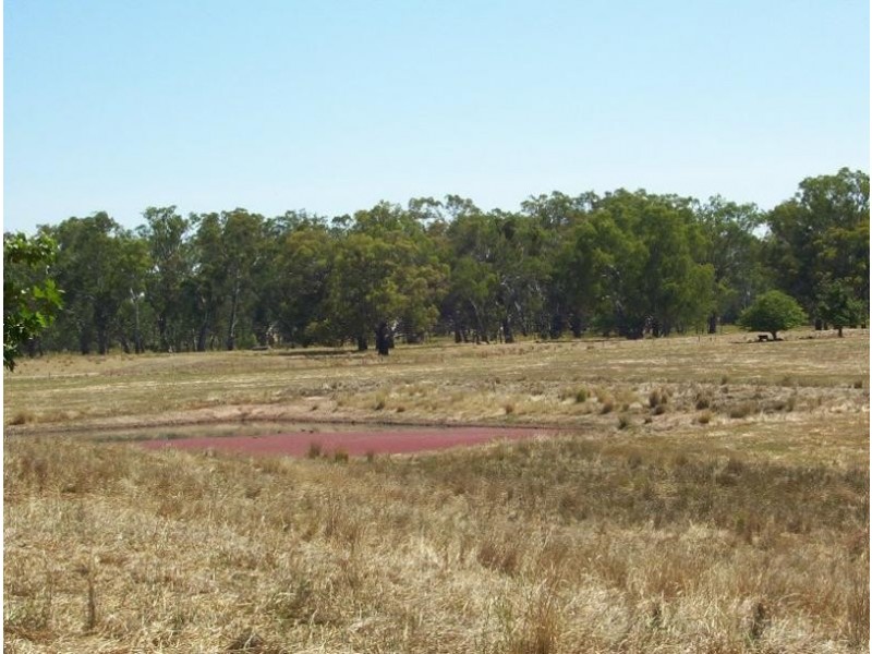 550 Mansfield Road, Benalla VIC 3672