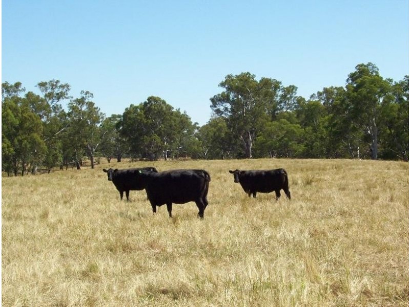 550 Mansfield Road, Benalla VIC 3672