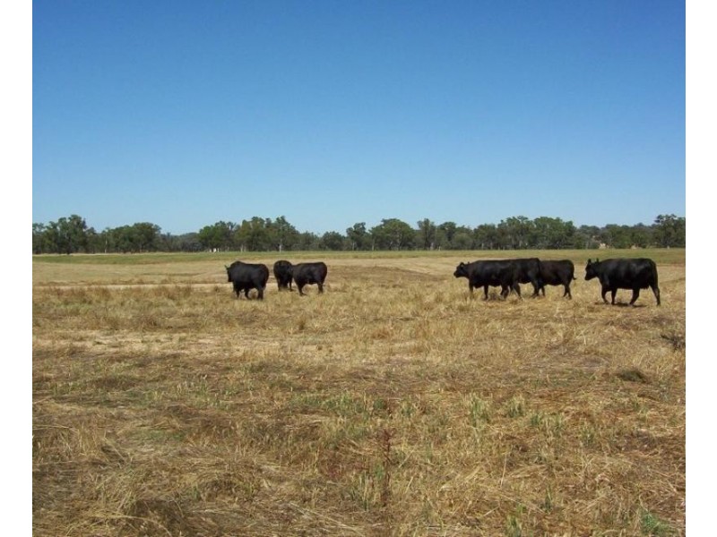 550 Mansfield Road, Benalla VIC 3672